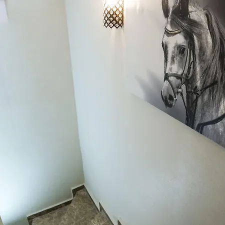 מלון Pelit Boutique 3*