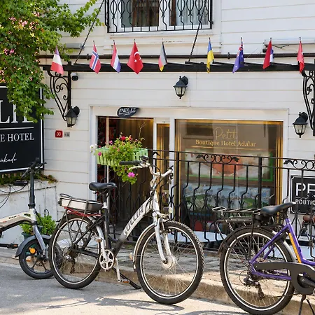 فندق Pelit Boutique 3*