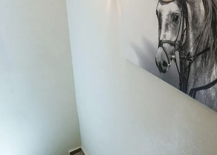 فندق Pelit Boutique 3*